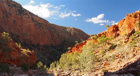 Hiking the Larapinta Trail with Amnesty International Australia