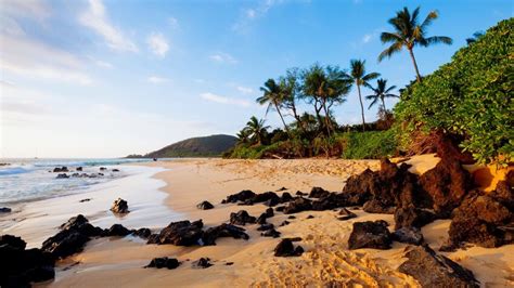 The 10 Best Swimming Beaches in Hawaii | The Discoverer