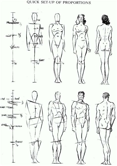 Poses Male Drawing Reference Proportions – Lealending