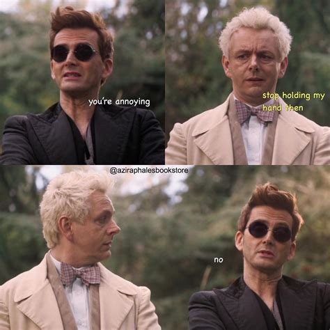 Their relationship is my ideal relationship . [incorrect quote from tumblr] | Good omens book ...