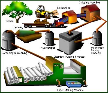 Forms Factory (M) Sdn Bhd - Paper Info