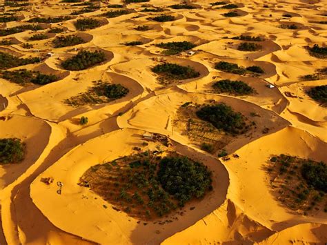 Oasis Sahara Desert Aerial View - 1024x768 Wallpaper - teahub.io