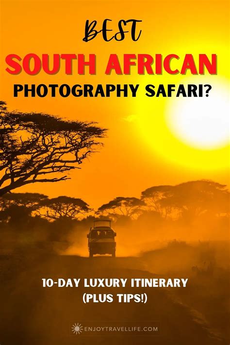 Best South African Photography Safaris: 10-Day Luxury Itinerary, Tips