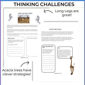 Giraffe Life Cycle | Project Based Learning Biomimicry NGSS | TpT