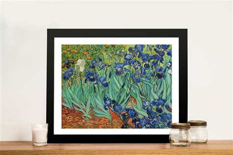 Irises by Vincent van Gogh Canvas Wall Art Print Perth