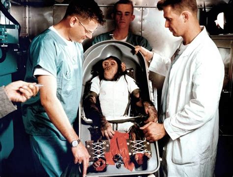 Meet Ham The Chimp, The Animal Astronaut Who Changed History