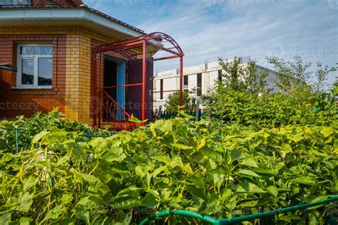 Red brick house in garden 11697310 Stock Photo at Vecteezy