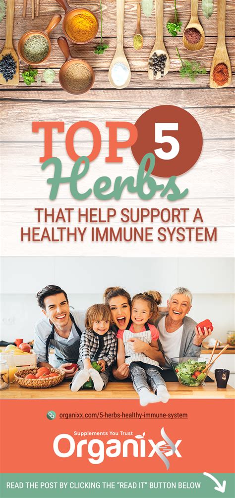 Top 5 Herbs That Help Support a Healthy Immune System | Immune system, Healthy herbs, Health and ...