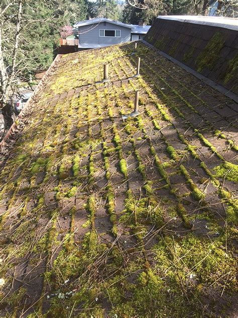 Roof Moss Removal - Arrowhead Roof Cleaning & Exteriors