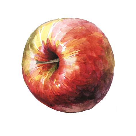 Download Apple, Watercolor, Fruit. Royalty-Free Stock Illustration ...