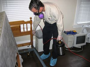 Choosing the Best Bed Bug Exterminator in New York - Beyond Pest Control Inc.