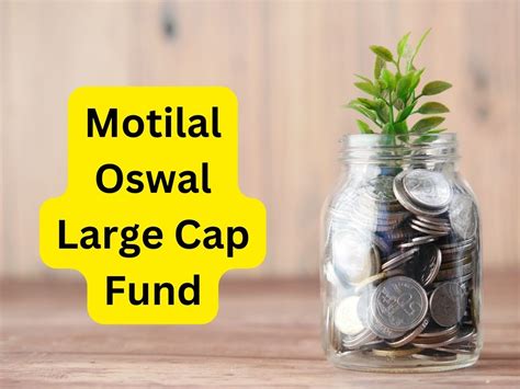 17 जनवरी से खुल रहा Motilal Oswal Large Cap Fund का NFO, निवेश से पहले ...