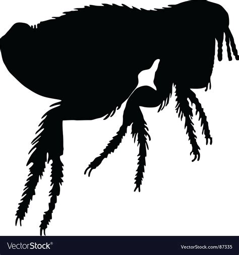 Dog flea silhouette Royalty Free Vector Image - VectorStock