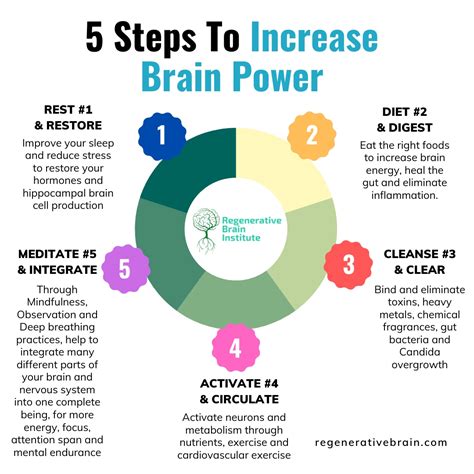 How To Increase Brain Power - Regenerative Brain Institute