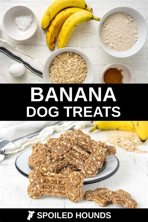 Homemade Banana Dog Treats - Spoiled Hounds