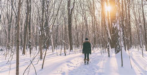 Winter walks are worth the challenge | Winnipeg Regional Health Authority