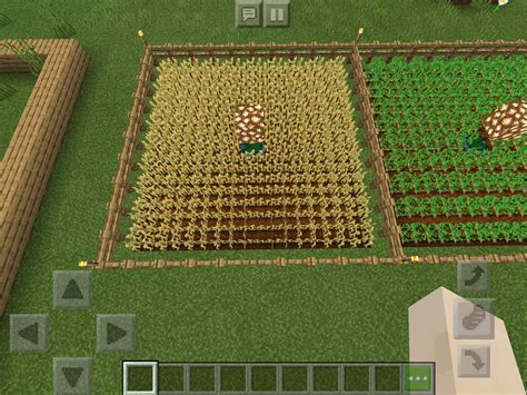 [SOLVED] What is the optimum pattern to place crops in Minecraft ...