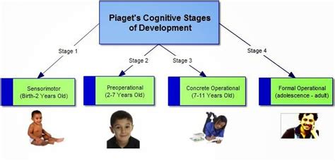 Jean Piaget's Theory of Cognitive Development