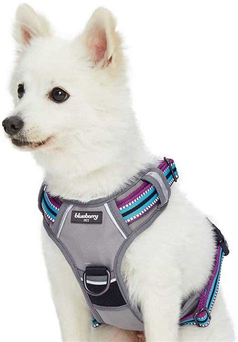 Best Dog Harness Australia (2020 Buyers Guide) - gentledogtrainers.com.au