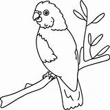 Domestic animals coloring Pages Animal For  sketch template