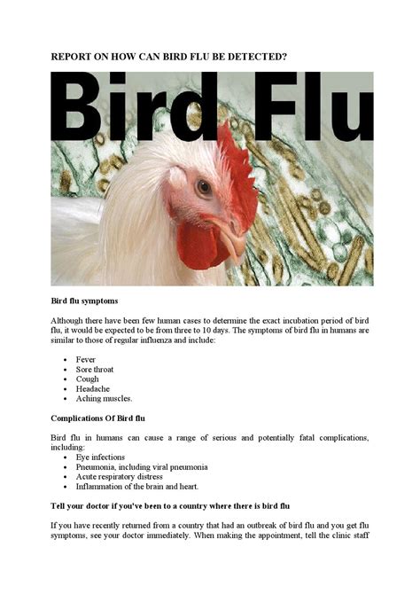 Bird flu symptoms by Md Papon - Issuu