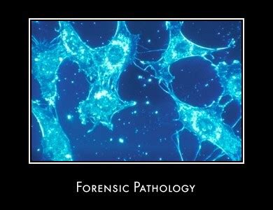 Forensic Pathology Information Guide