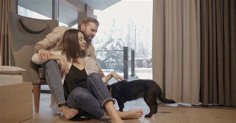 Couple Petting a Dog Free Stock Video Footage, Royalty-Free 4K & HD ...