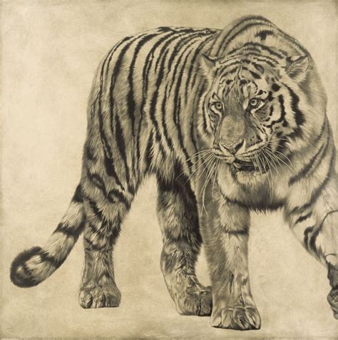 2008-13 | Tiger art, Tiger art drawing, Big cats art