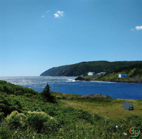 Newfoundland In The Summer | Artificial Design