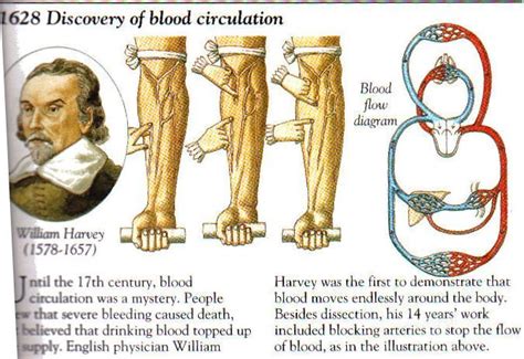 Pin on Medical History & Public Health