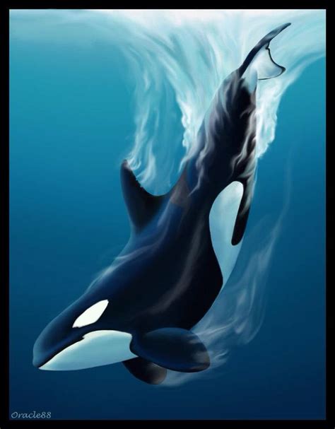 Orca Art | Orca art, Whale painting, Dolphin art