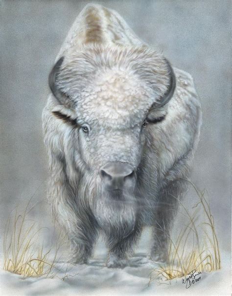 White Buffalo by Wayne Pruse | Buffalo art, Buffalo art print, Buffalo painting