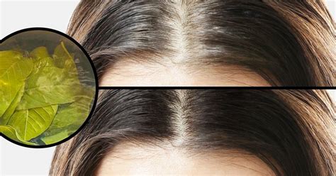 15 Game-Changing Hair Tips That Can Simplify Your Life