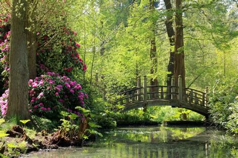 Birmingham: Winterbourne House and Garden Admission Ticket | GetYourGuide