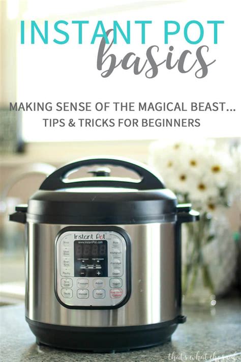 Instant Pot Tips for Beginners | Instant Pot Basics – That's What {Che} Said...