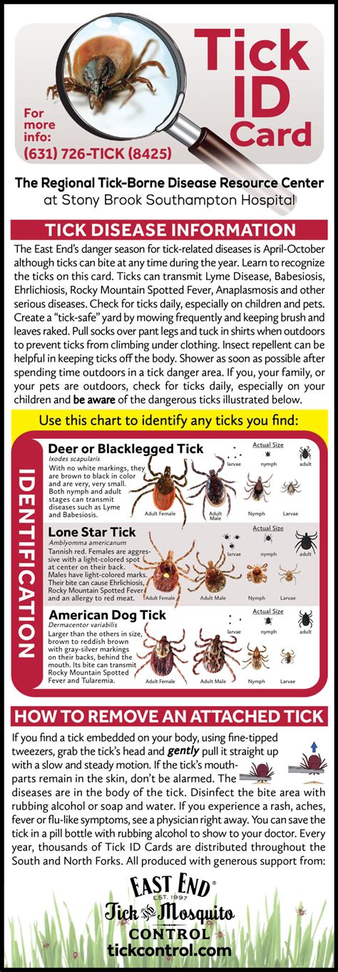 Tick Identification in Suffolk County | East End Tick Control - Tick ...