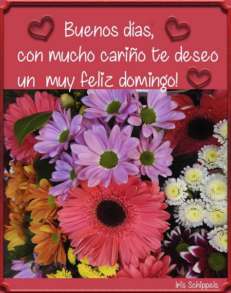 Buen Día Feliz Domingo imágenes - BonitasImagenes.net