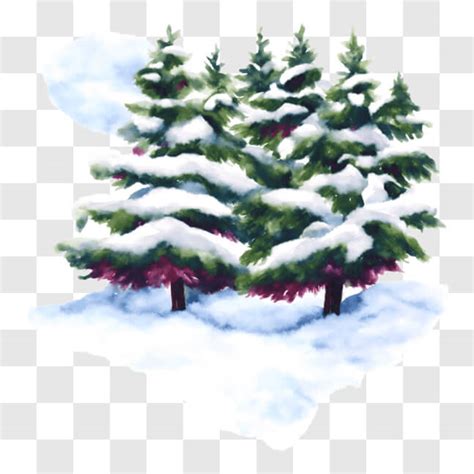 Download Winter Pine Trees Watercolor Painting PNGs Online - Creative Fabrica