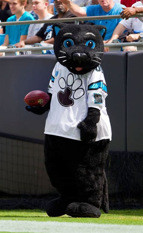 The Carolina Panthers Mascot Is Absolutely Purrfect