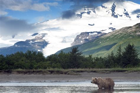 Camping World's Guide to RVing Katmai National Park