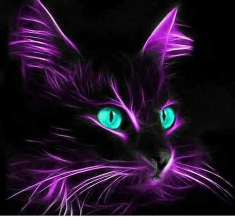 Pin by Margie on Purple Passion | Cat art, Cats art drawing, Black cat art