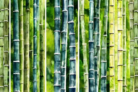 Watercolor Painting of Exotic Bamboo Trees Pattern and Background Stock ...