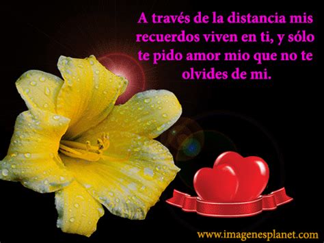 Flores animadas con frases de amor para dedicar - Imágenes de Amor con Movimiento | Frases ...