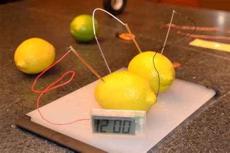 Lemon Battery Experiment for Kids