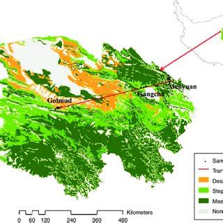 (PDF) Changes in vegetation composition and plant diversity with rangeland degradation in the ...