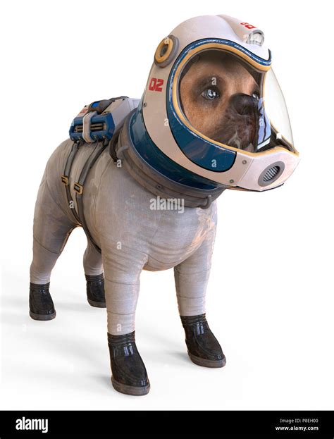 Dog in an astronaut's space suit. 3D illustration isolated on white Stock Photo - Alamy