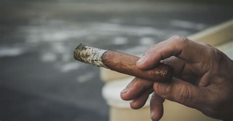 Put out the stogie: cigar smoking and cancer | University of Michigan Rogel Cancer Center