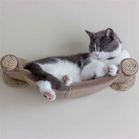 Cat Hammock - Wall Mounted Cat Bed - Tan - CatWallShelves Superstore