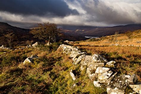 รูปภาพKenmare – เลือกดูภาพถ่ายสต็อก เวกเตอร์ และวิดีโอ1,122 | Adobe Stock