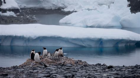 New Photos Reveal Antarctica's Glaciers are Melting Faster | The Weather Channel